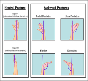 Hand postures