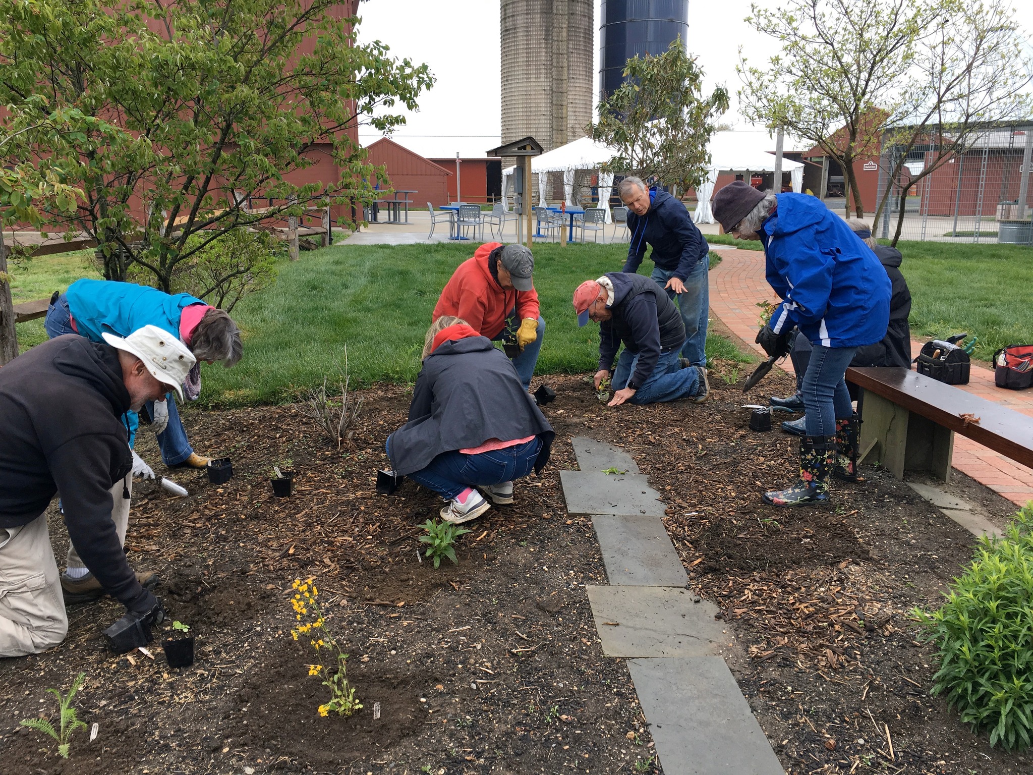 Master Gardeners planting new plants in the kitchen garden on a cloudy day